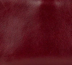 Mini Marciana - Burnished Tooled Colors - Image 15