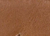 Bagagli Luggage Tag - Vintage Distressed Leather - Image 6